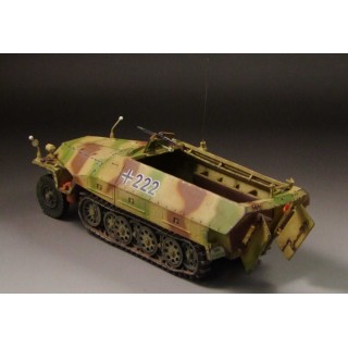 1/30 prebuilt WWII German SdKfz 251/D Halftrack camouflage G014