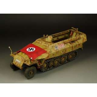 1/30 prebuilt WWII German SdKfz 251/D Halftrack camouflage G015