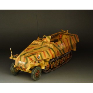 1/30 WWII German SdKfz 251/D Halftrack camouflage G017