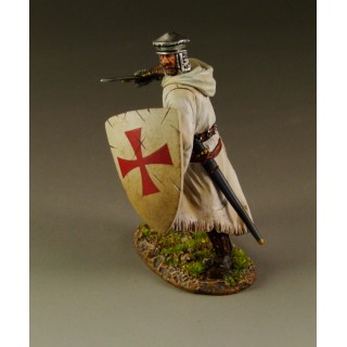 Templar Knight TEM005
