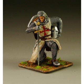 Templar Knight TEM007