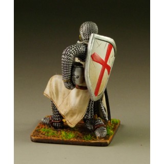 Templar Knight TEM007
